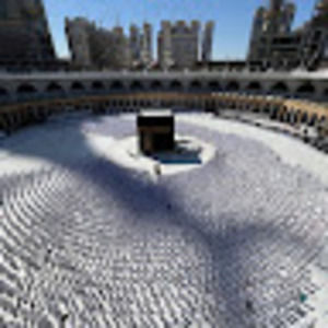 Meet your Posher, Darrick